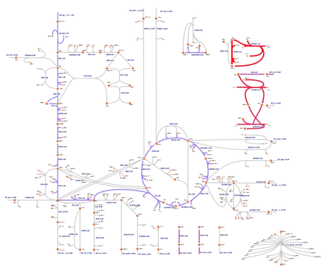 E coli aerobic map